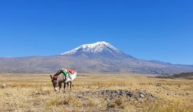 Výstup na Ararat