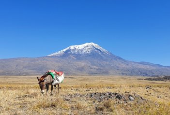 Výstup na Ararat