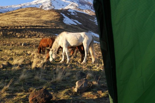 Výstup na Ararat - Turecko