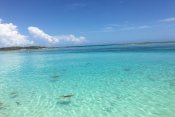 Warwick Paradise Island Bahamas - Bahamy - Paradise Island