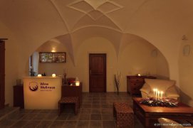 WINE WELLNESS HOTEL CENTRO - Česká republika - Jižní Morava - Hustopeče