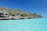 WHALA BAYAHIBE - Dominikánská republika - Bayahibe