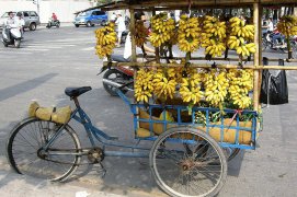 Z Hanoje do Laosu na horském kole - Vietnam - Phan Thiet
