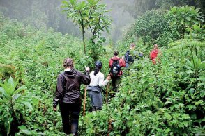 Za gorilami do Rwandy s pobytem na ostrově Zanzibar - Rwanda