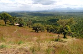 Za horami, kávou a světoznámými safari Keni a Ugandy - Keňa