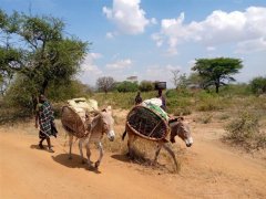 Za horami, kávou a světoznámými safari Keni a Ugandy