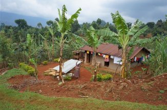 Za horami, kávou a světoznámými safari Keni a Ugandy - Keňa