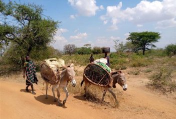 Za horami, kávou a světoznámými safari Keni a Ugandy - Keňa
