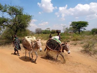 Za horami, kávou a světoznámými safari Keni a Ugandy