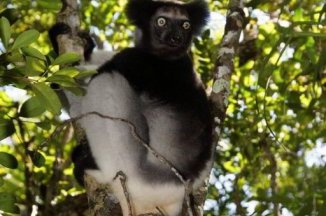 Za lemury po národních parcích Madagaskaru - Madagaskar