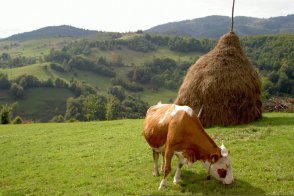 Za probouzející se přírodou Balkánu - Chorvatsko