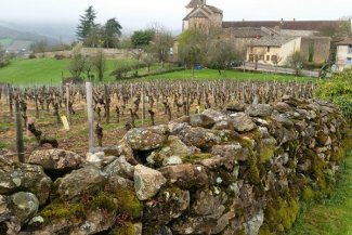 Za vínem a krásami Burgundska a kraje Beaujolais - Francie