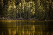 Zádumčivá Šumava - Česká republika - Šumava