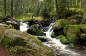 Zádumčivá Šumava - Česká republika - Šumava
