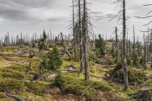 Zádumčivá Šumava - Česká republika - Šumava