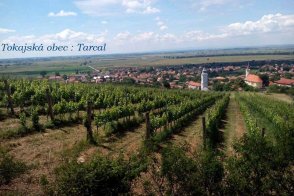 Zážitkové toulky po Tokaji za historií a vínem a Košice - Maďarsko