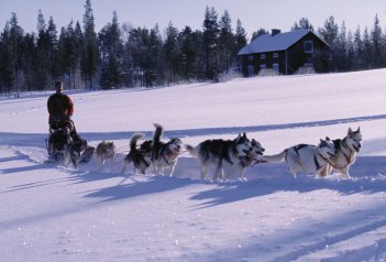 Zimní dobrodružství na polárním kruhu - Finsko