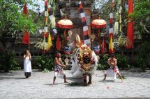 Živé Bali + klidný ostrov Lembongan - Bali