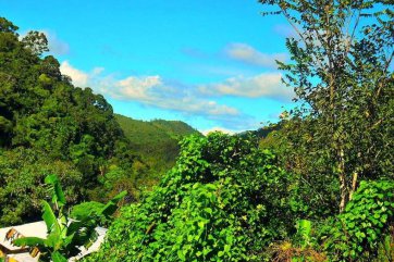 Ztracený ráj v Modré laguně, kolébka reggae a úžasné vodopády Jamajky - Jamajka